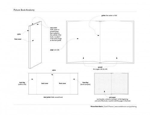 Picture Book Anatomy
