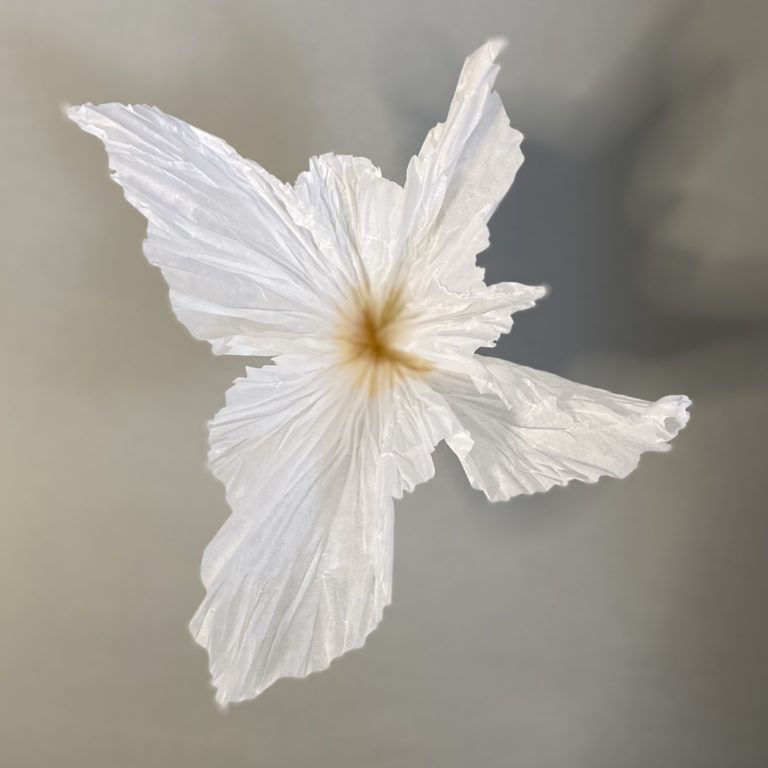 Paper flower